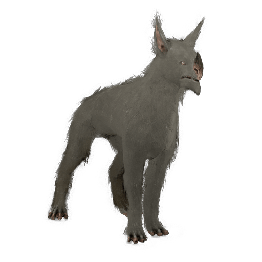 Sunika Kubrow