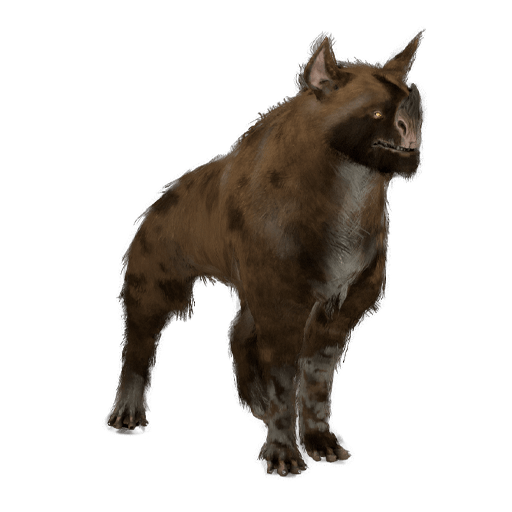Raksa Kubrow