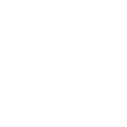 Landslide Fists