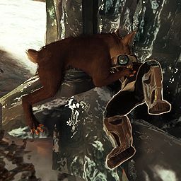 Helminth Ferocity