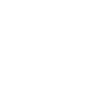 Desarme radial